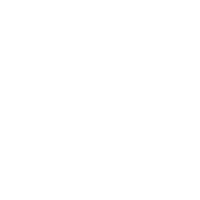 data manipulation services