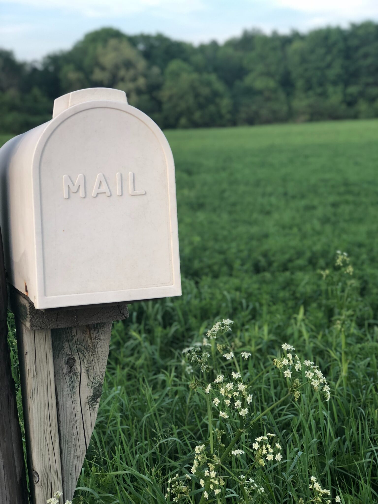 direct mail london